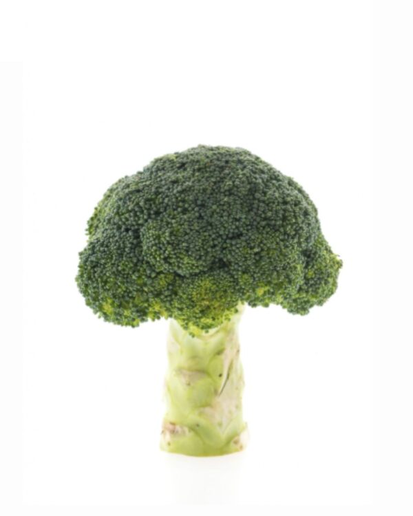 Broccoli