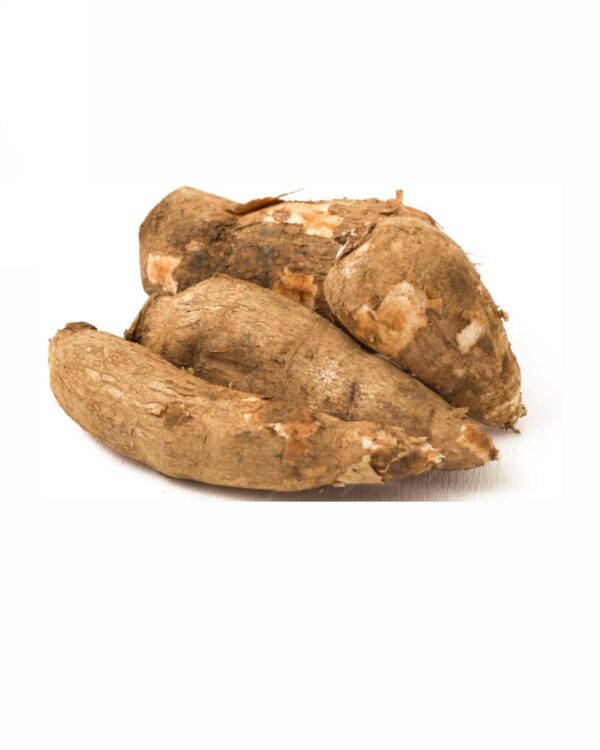 Cassava