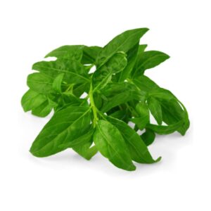 Fresh Basil