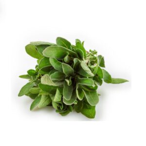 Fresh Oregano