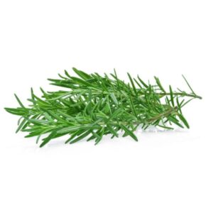 Fresh Rosemary
