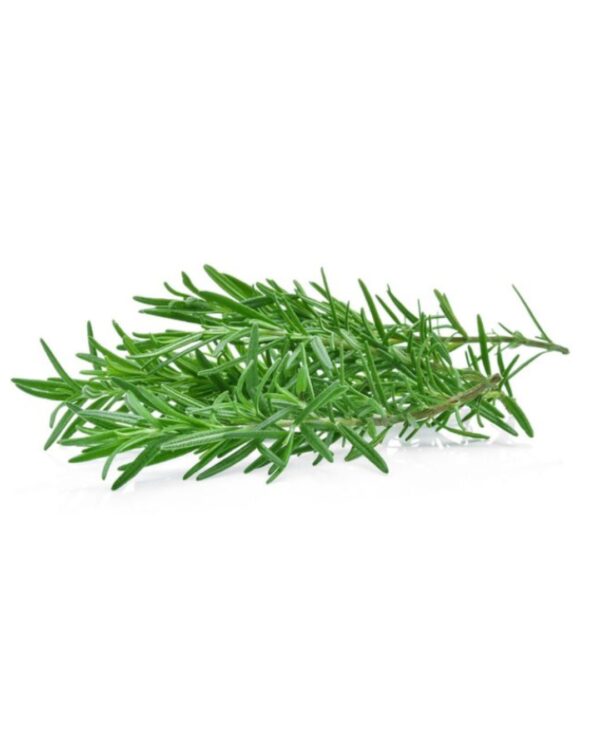 Fresh Rosemary