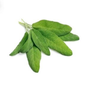 Fresh Sage