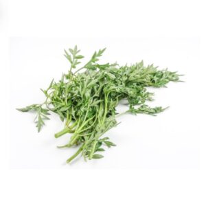 Fresh Tarragon