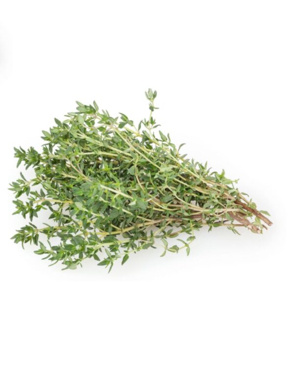 Fresh Thyme
