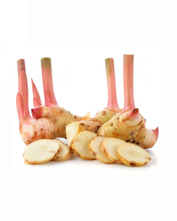 Galangal