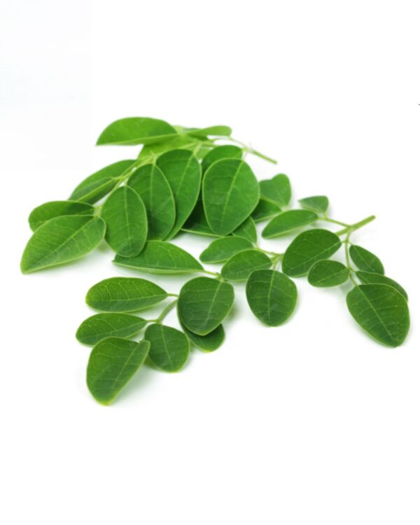 Moringa Leaves