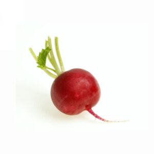 Radish