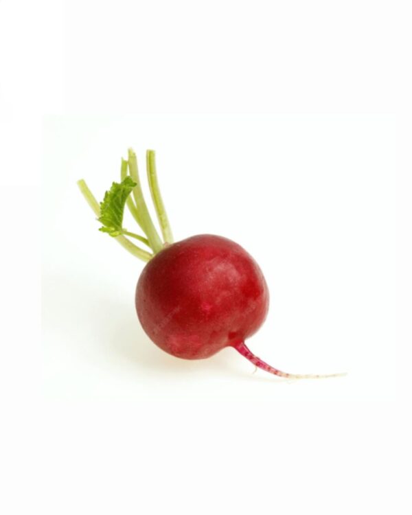 Radish
