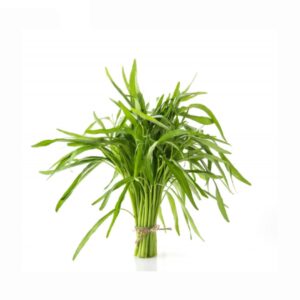Tarragon