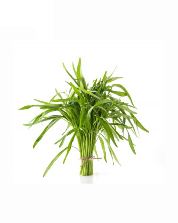 Tarragon
