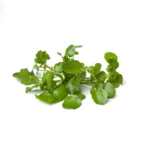 Watercress