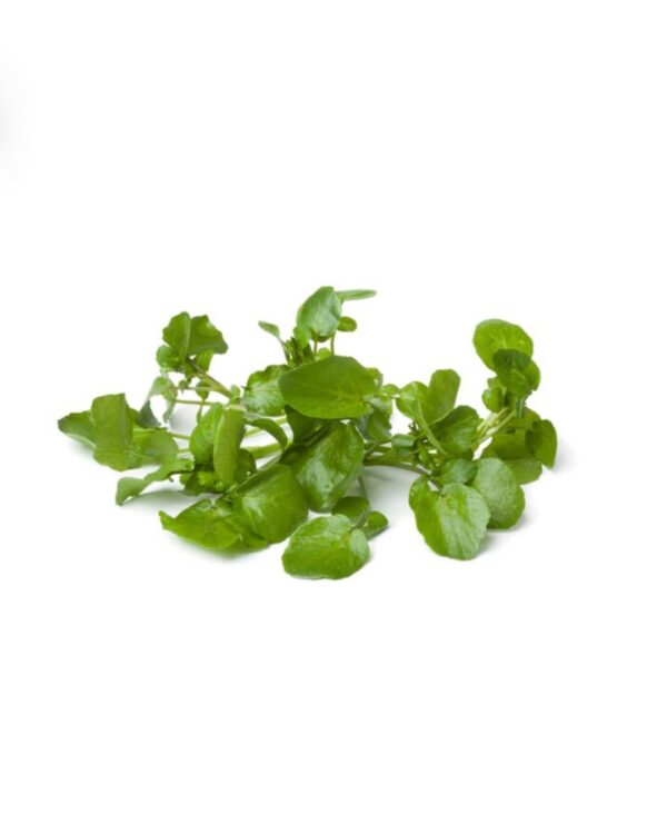 Watercress